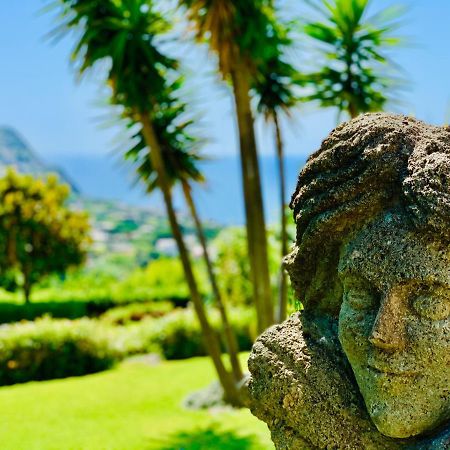 Casa Ischitana Daire Forio di Ischia Dış mekan fotoğraf