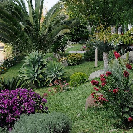 Casa Ischitana Daire Forio di Ischia Dış mekan fotoğraf