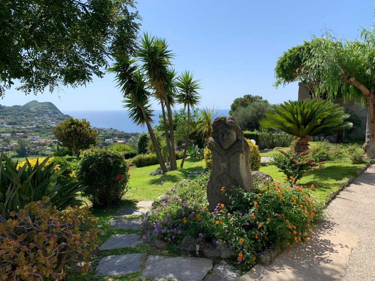 Casa Ischitana Daire Forio di Ischia Dış mekan fotoğraf