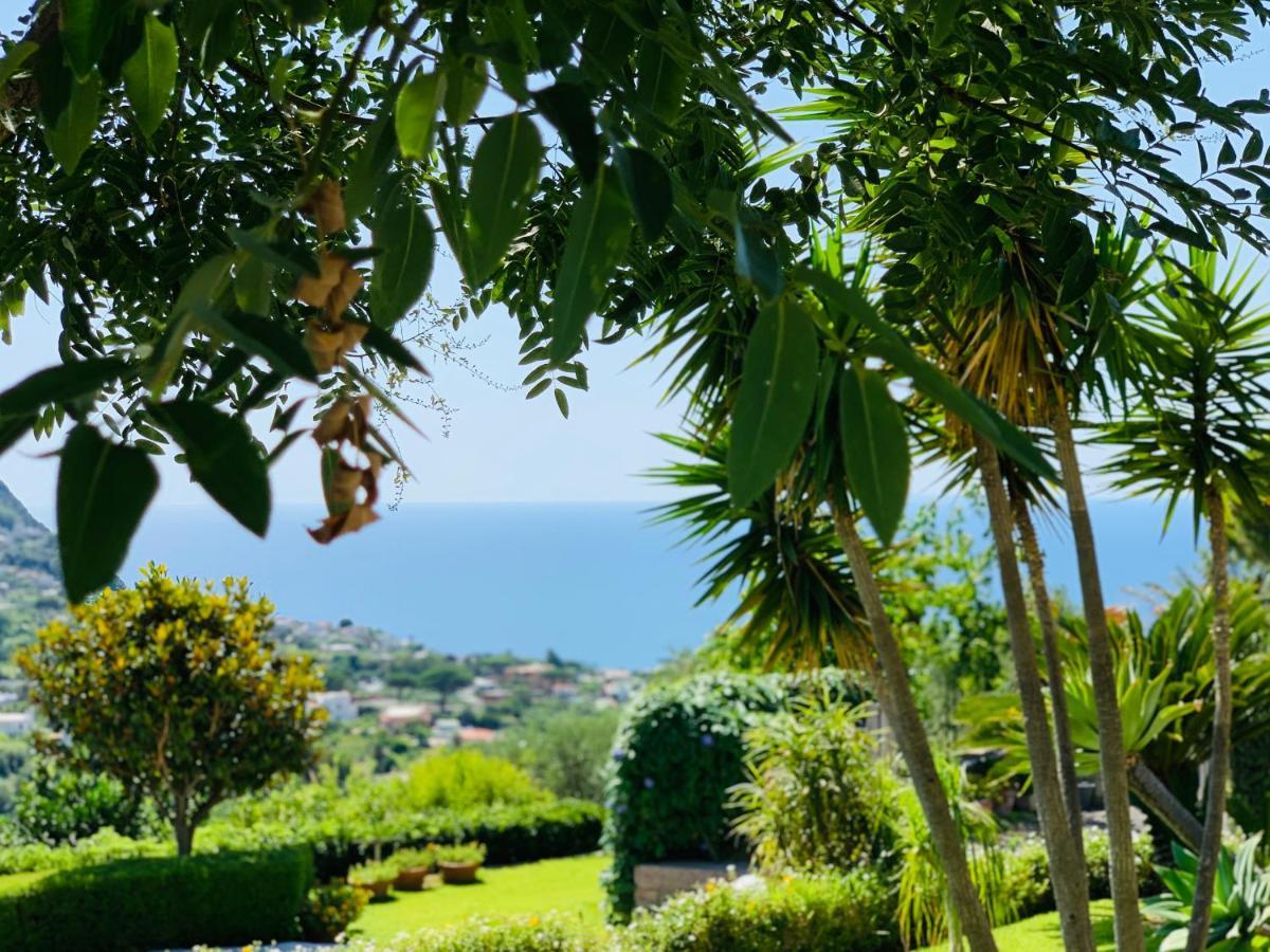 Casa Ischitana Daire Forio di Ischia Dış mekan fotoğraf