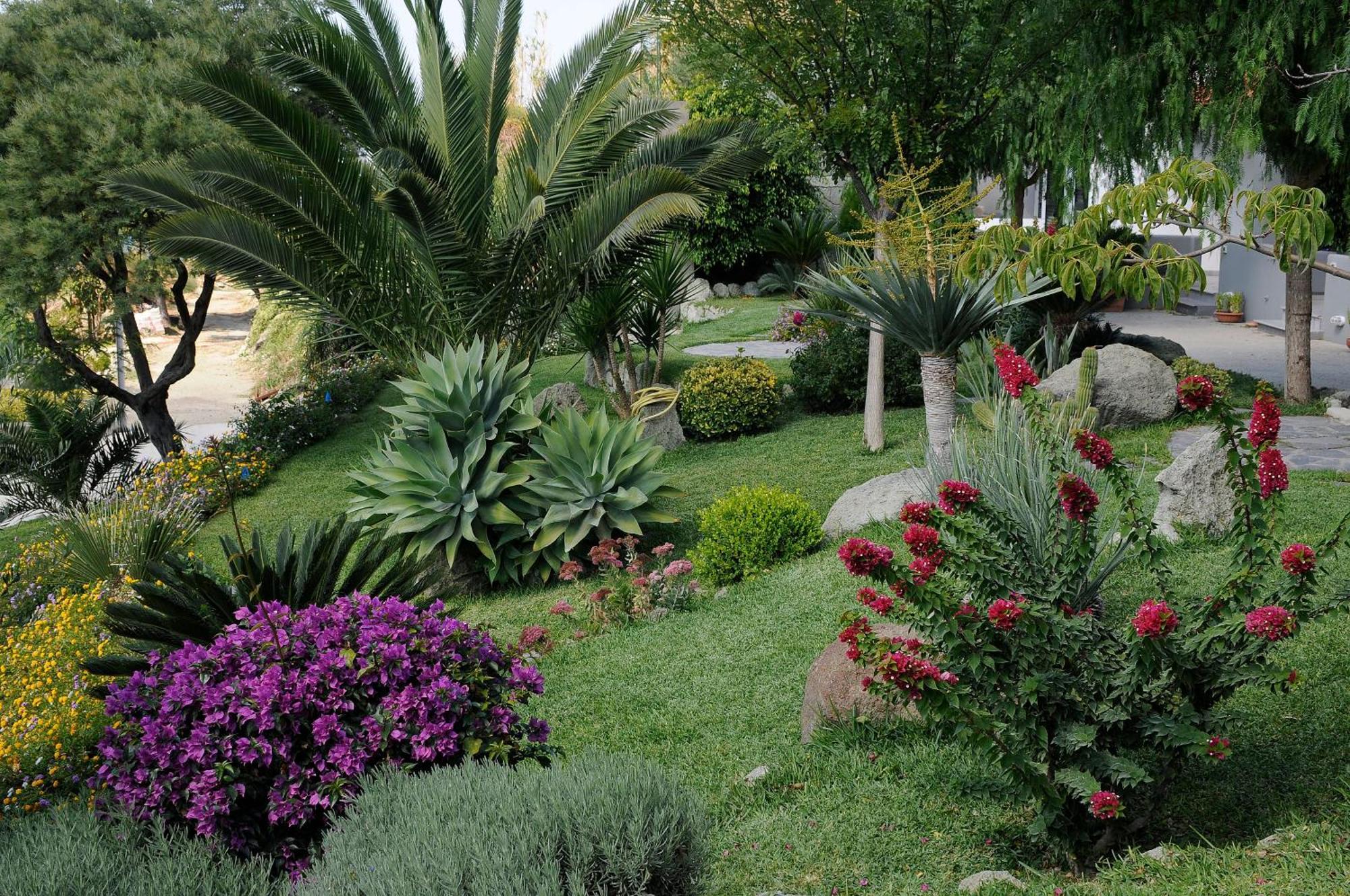 Casa Ischitana Daire Forio di Ischia Dış mekan fotoğraf