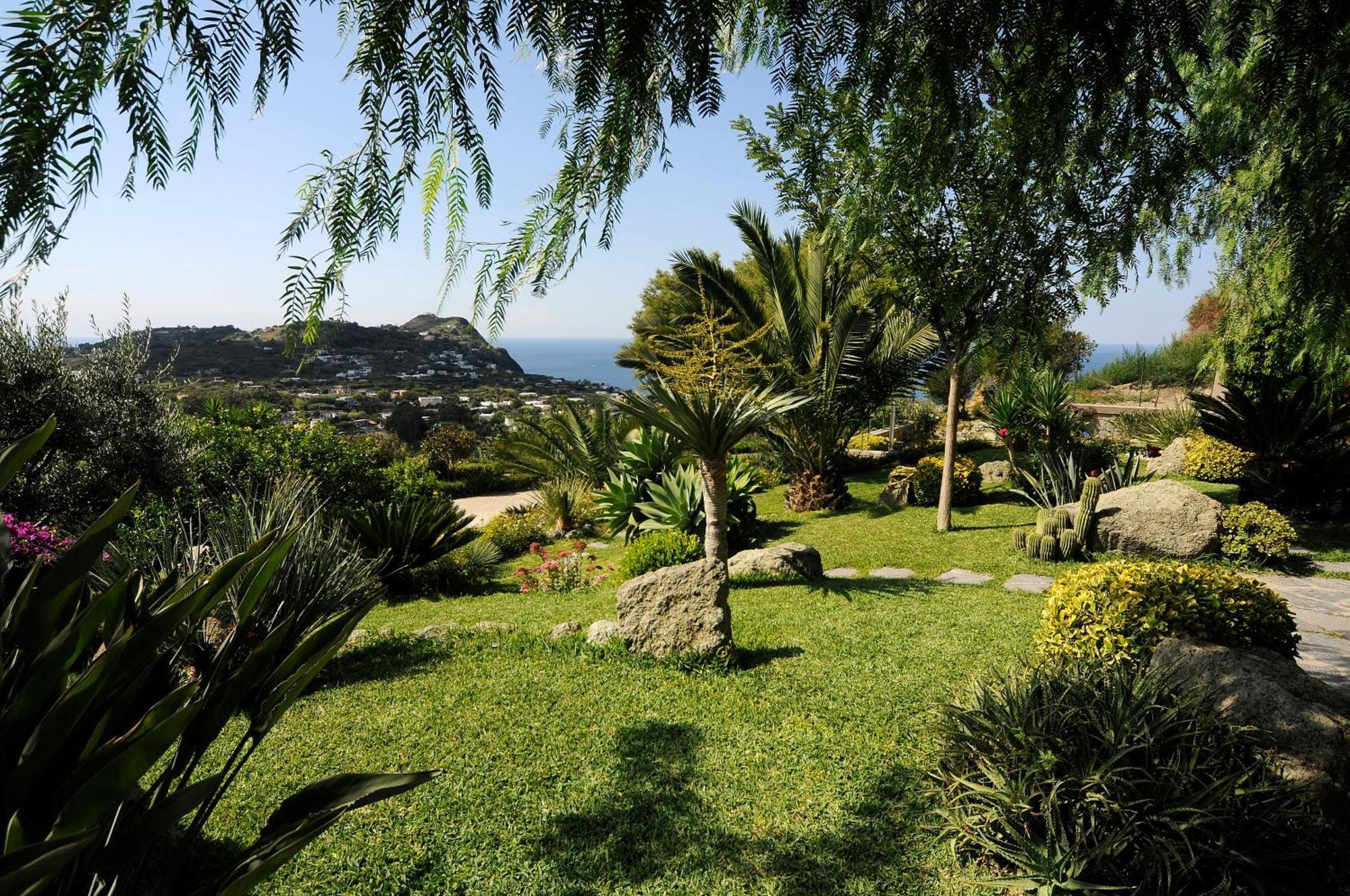 Casa Ischitana Daire Forio di Ischia Dış mekan fotoğraf