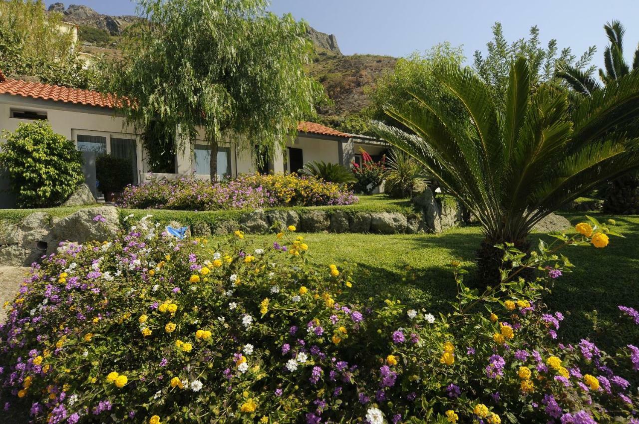 Casa Ischitana Daire Forio di Ischia Dış mekan fotoğraf