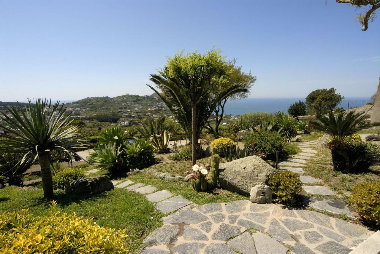 Casa Ischitana Daire Forio di Ischia Dış mekan fotoğraf
