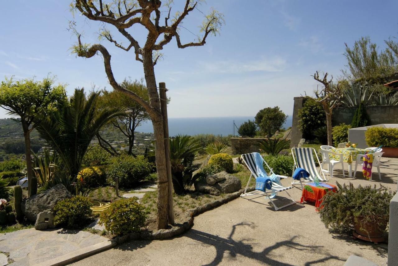 Casa Ischitana Daire Forio di Ischia Dış mekan fotoğraf