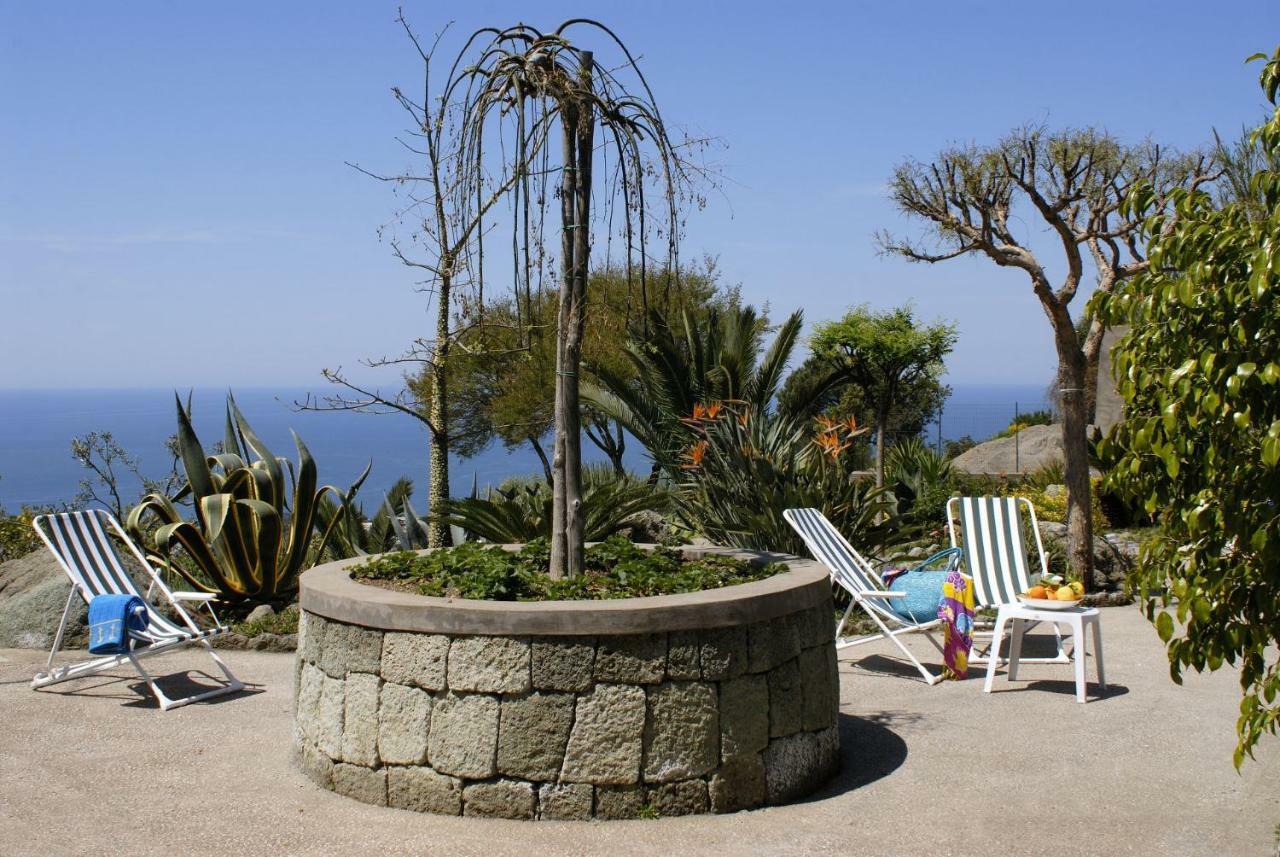 Casa Ischitana Daire Forio di Ischia Dış mekan fotoğraf