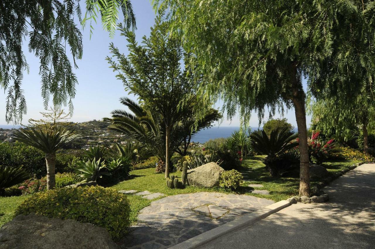 Casa Ischitana Daire Forio di Ischia Dış mekan fotoğraf