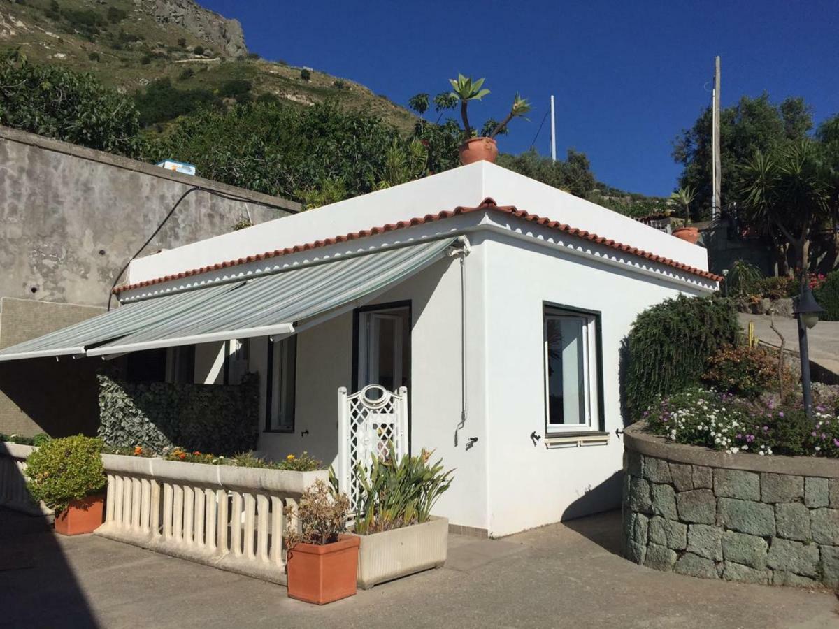 Casa Ischitana Daire Forio di Ischia Dış mekan fotoğraf