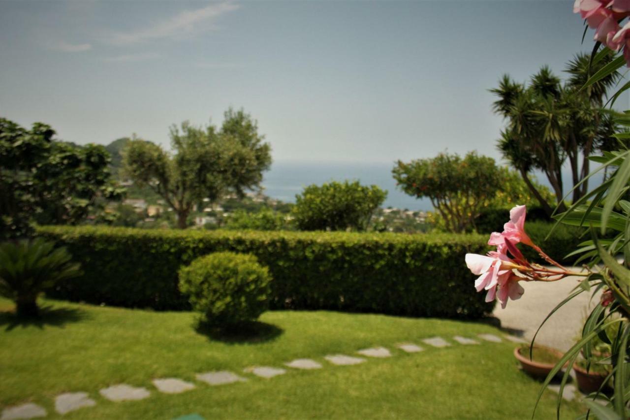 Casa Ischitana Daire Forio di Ischia Dış mekan fotoğraf