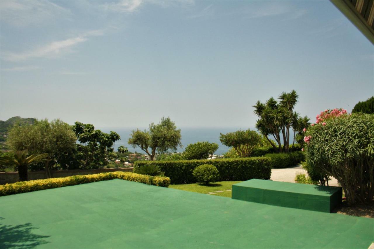 Casa Ischitana Daire Forio di Ischia Dış mekan fotoğraf