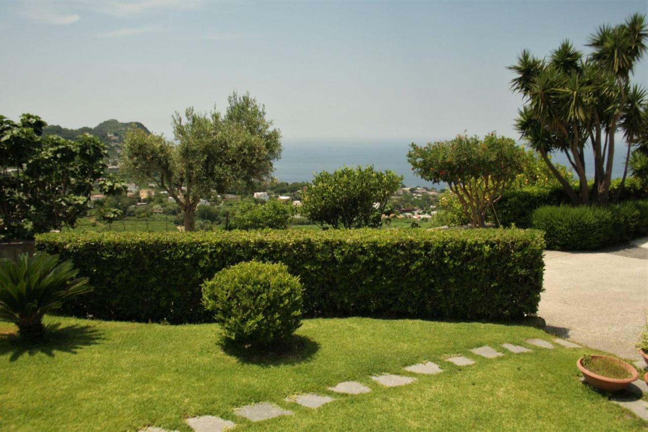 Casa Ischitana Daire Forio di Ischia Dış mekan fotoğraf