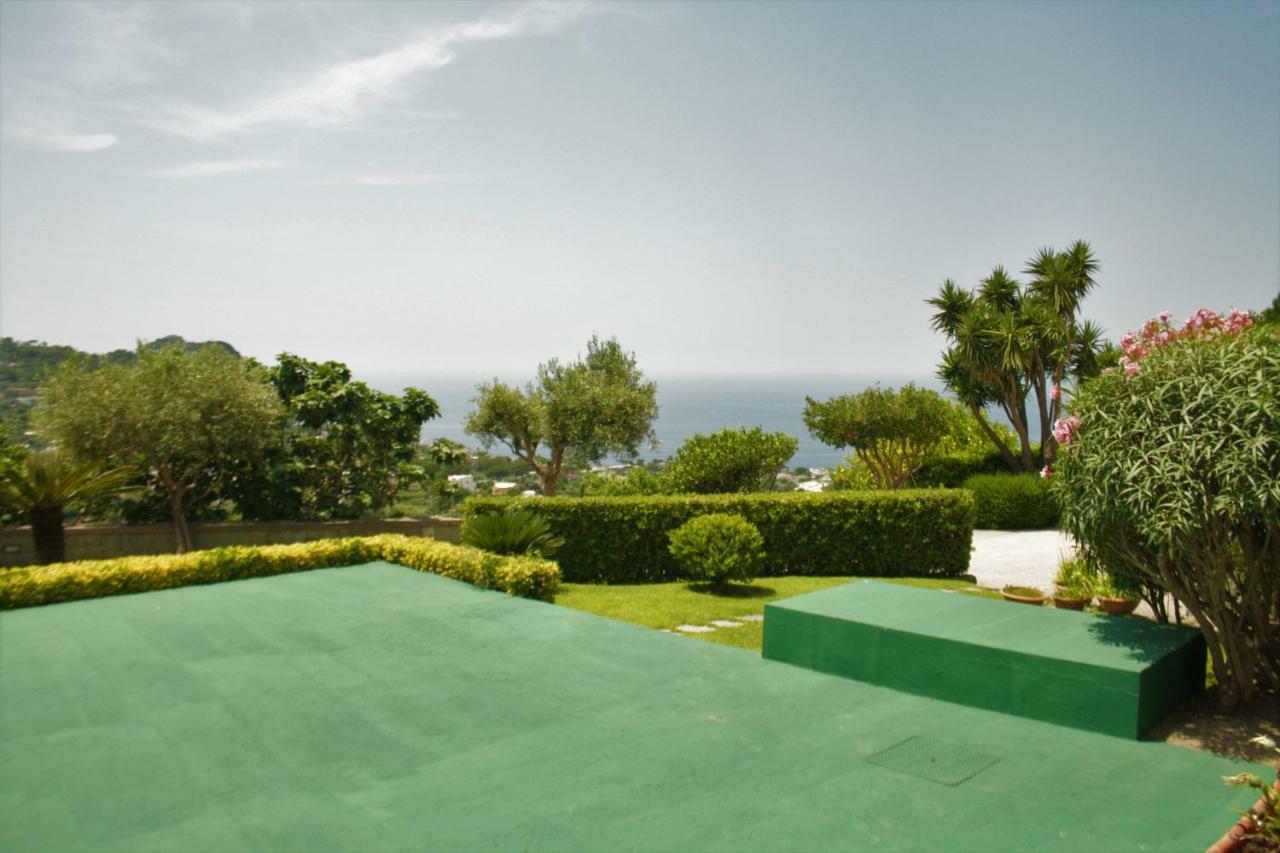 Casa Ischitana Daire Forio di Ischia Dış mekan fotoğraf